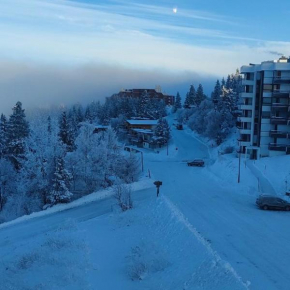Chamrousse 1750 Studio 4 personnes 29m2